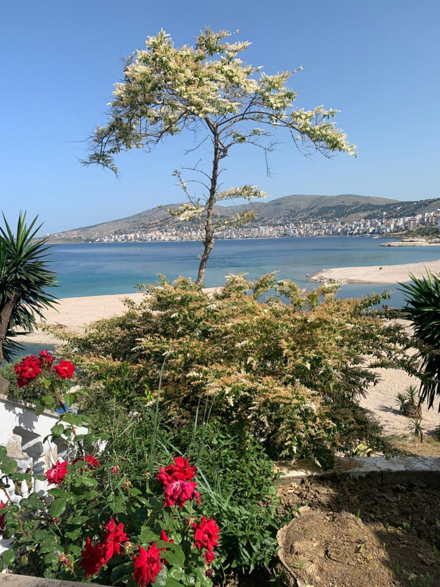 Hotel Dodona Sarandë Exteriör bild